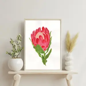 Protea Bloom - Image 3