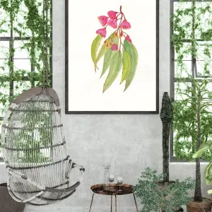 Eucalyptus Blooms - Image 2